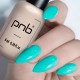 Гел лак PNB 8 мл 035